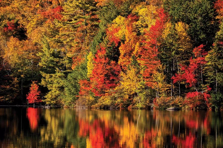 USA, New Hampshire, White Mountains, Fall reflection on Russell Pond