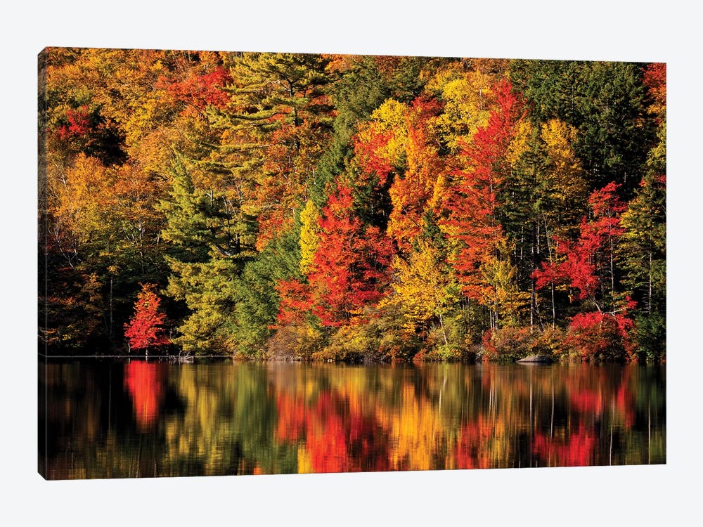 USA, New Hampshire, White Mountains, Fall reflection on Russell Pond by Ann Collins 1-piece Canvas Art Print