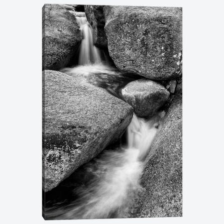 USA, New Hampshire, White Mountains, Lucy Brook flows past granite rock I Canvas Print #ANC16} by Ann Collins Canvas Print