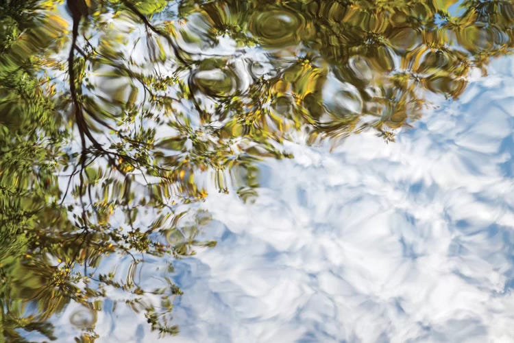 USA, New Hampshire, White Mountains, Reflections abstract by Ann Collins wall art