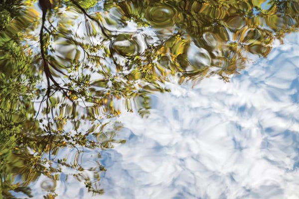 Ann Collins: USA, New Hampshire, White Mountains, Reflections abstract by Ann Collins
