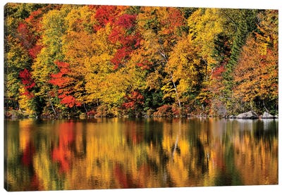 USA, New Hampshire, White Mountains, Reflections on Russell Pond Canvas Art Print - Maple Tree Art