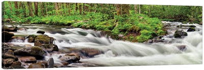 USA, North Carolina, Great Smoky Mountains National Park, Straight Fork Canvas Art Print - Waterfall Art