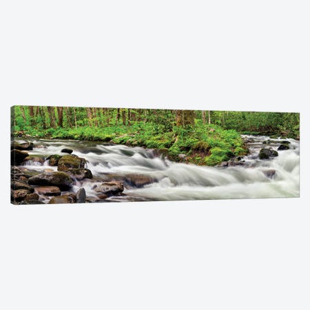 USA, North Carolina, Great Smoky Mountains National Park, Straight Fork Canvas Print #ANC24} by Ann Collins Canvas Wall Art