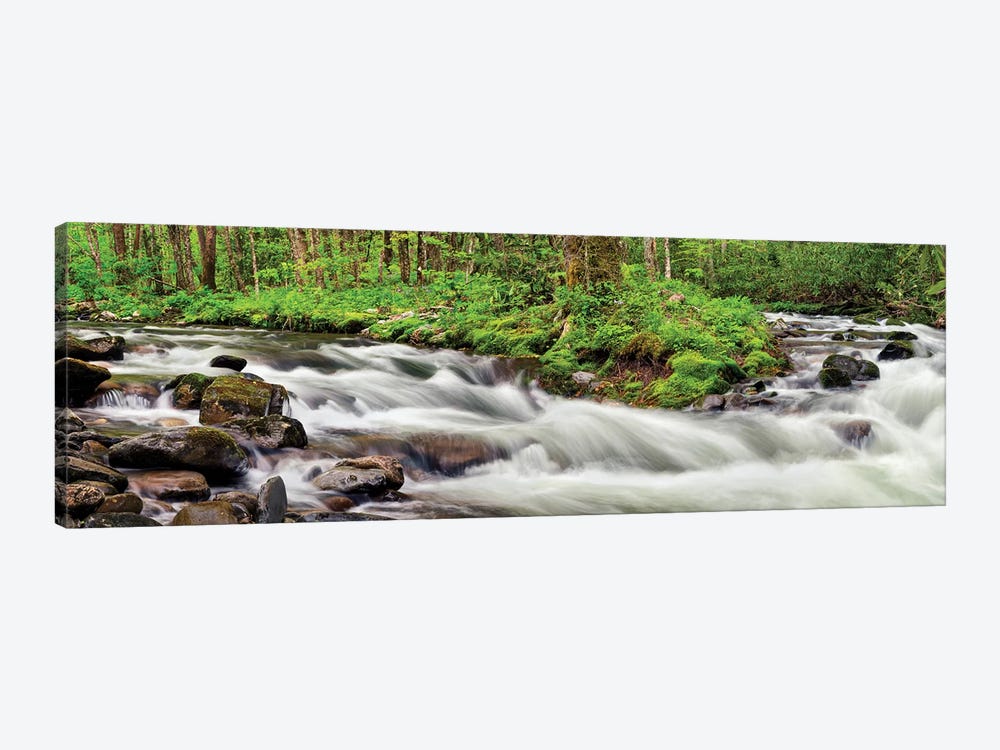 USA, North Carolina, Great Smoky Mountains National Park, Straight Fork 1-piece Canvas Print