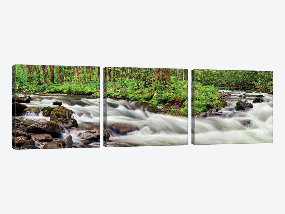 USA, North Carolina, Great Smoky Mountains National Park, Straight Fork 3-piece Art Print