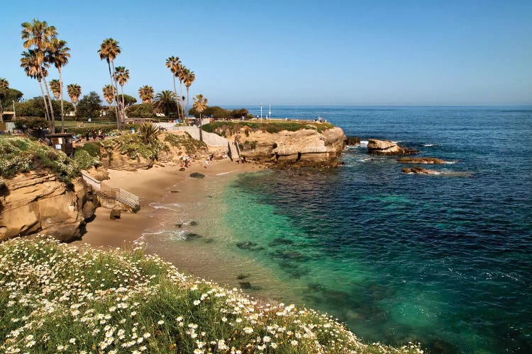 USA, California, La Jolla, Clear water on a spring day at La Jolla Cove by Ann Collins wall art