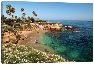 USA, California, La Jolla, Clear water on a spring day at La Jolla Cove Canvas Art Print