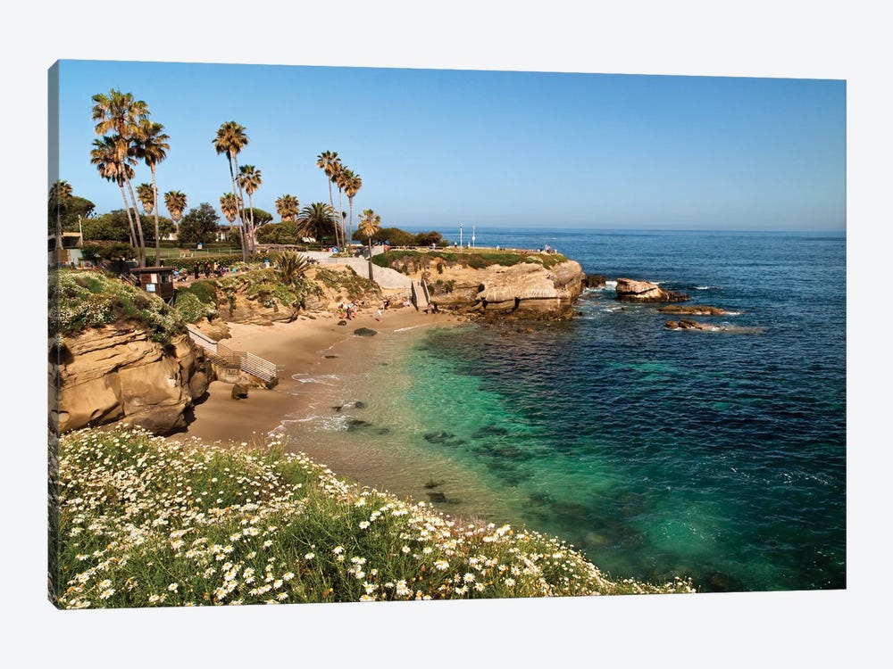 USA, California, La Jolla, Clear water on a spring day at La Jolla Cove by Ann Collins 1-piece Art Print