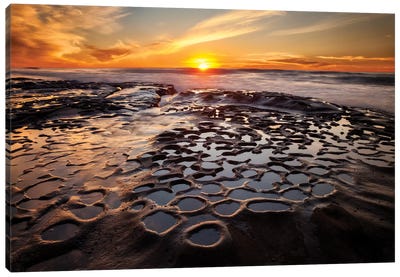 USA, California, La Jolla, Sunset at Hospital Reef Canvas Art Print - Beach Sunrise & Sunset Art