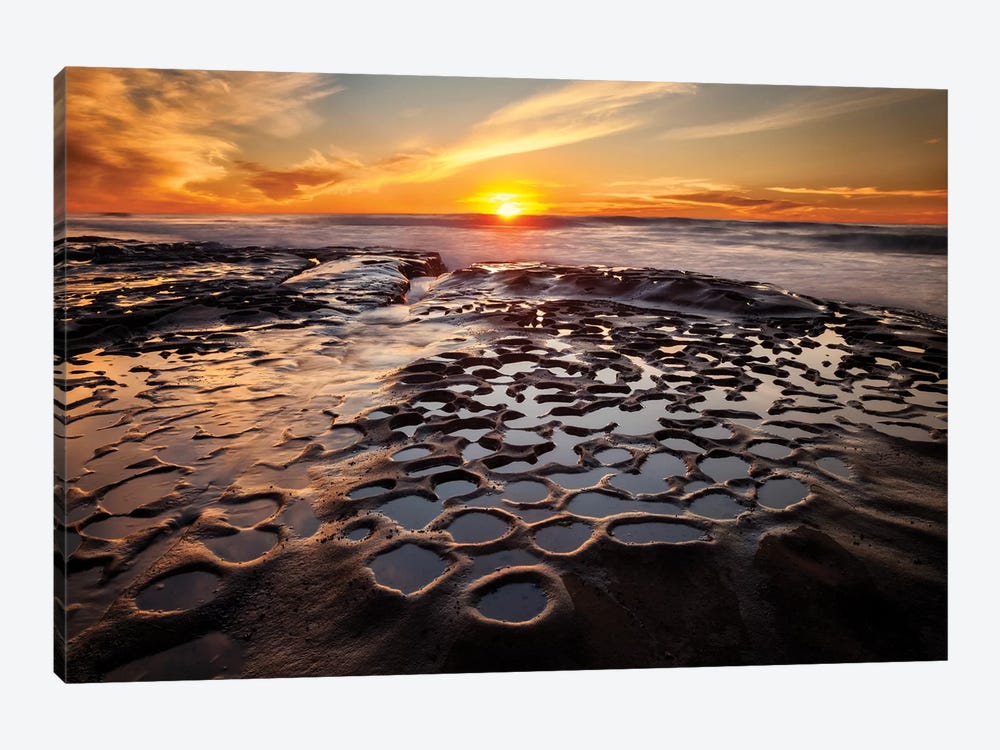 USA, California, La Jolla, Sunset at Hospital Reef by Ann Collins 1-piece Canvas Print