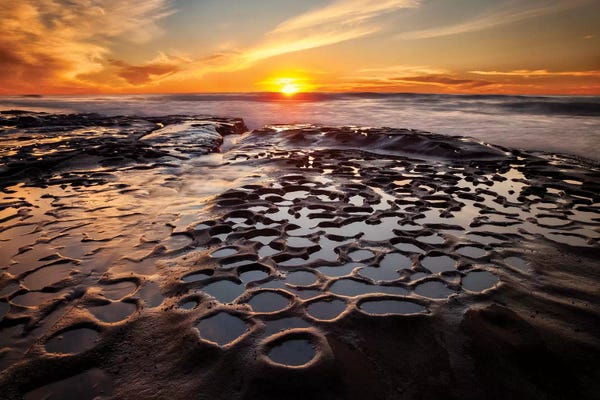 Ann Collins: USA, California, La Jolla, Sunset at Hospital Reef by Ann Collins