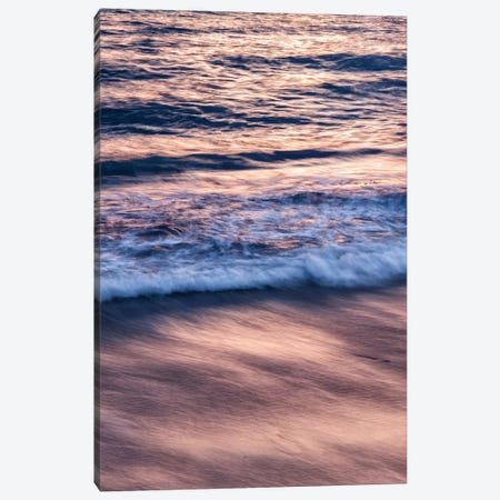USA, California, La Jolla, Sunset color reflected in waves at Windansea Beach Canvas Print #ANC5} by Ann Collins Canvas Wall Art