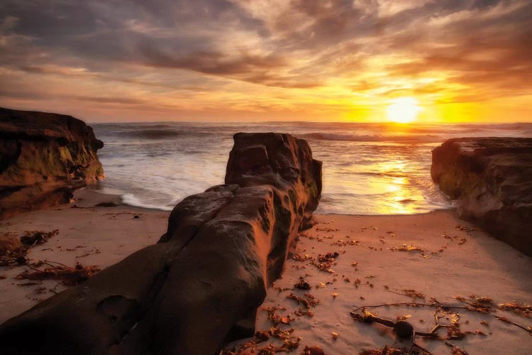 USA, California, La Jolla, Sunset, Coast Blvd. Park by Ann Collins wall art