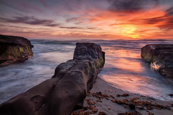 Ann Collins: USA, California, La Jolla, Sunset, Coast Boulevard Park by Ann Collins
