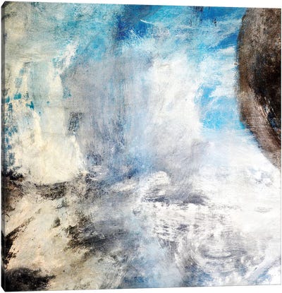 Mist I Canvas Art Print - Andrada Anghel