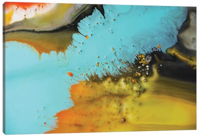 Liquid Series VII Canvas Art Print - Andrada Anghel