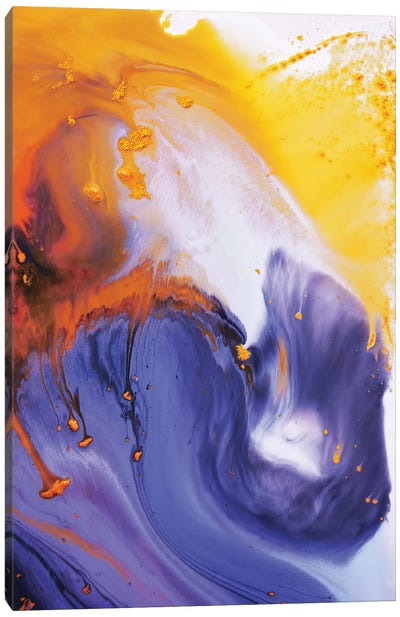 Liquid Series IX Canvas Art Print - Andrada Anghel