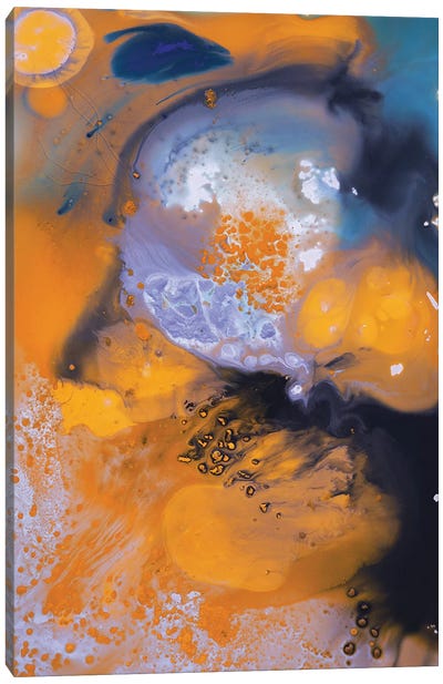 Liquid Series X Canvas Art Print - Andrada Anghel