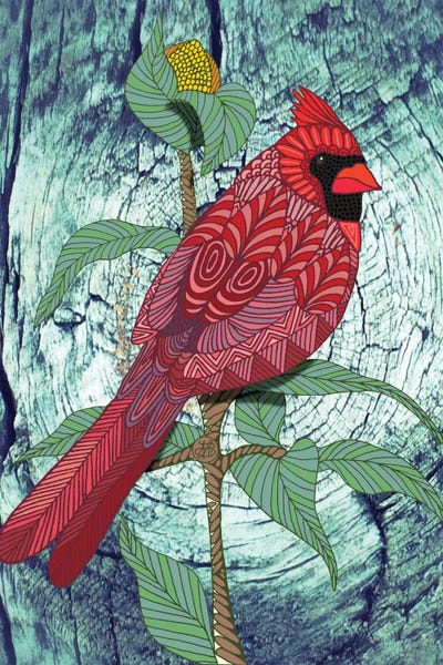 Cardinals: Virginia Cardinal by Angelika Parker