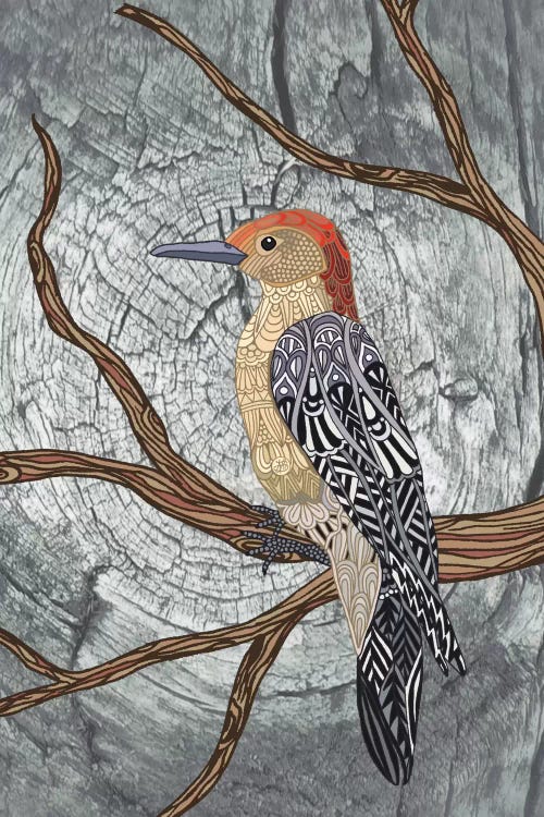 Woodpecker