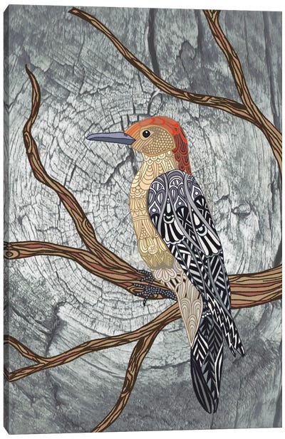 Woodpecker Canvas Art Print - Angelika Parker