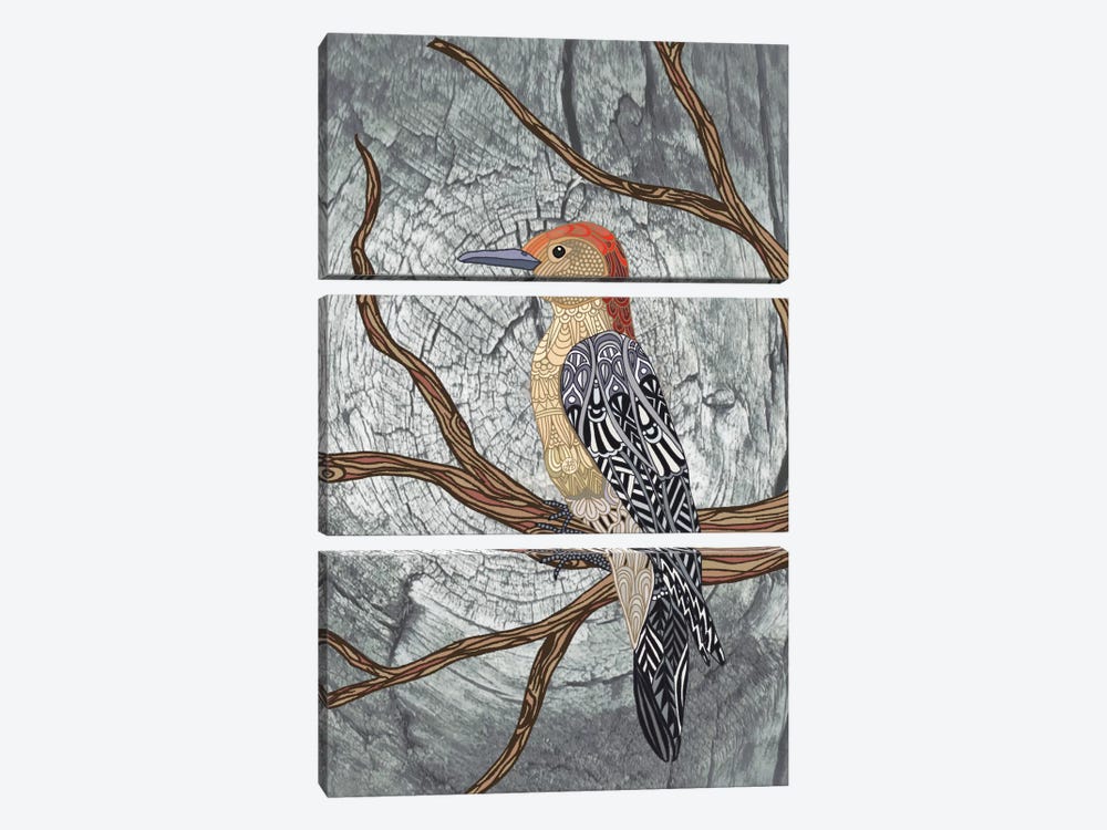 Woodpecker by Angelika Parker 3-piece Canvas Art