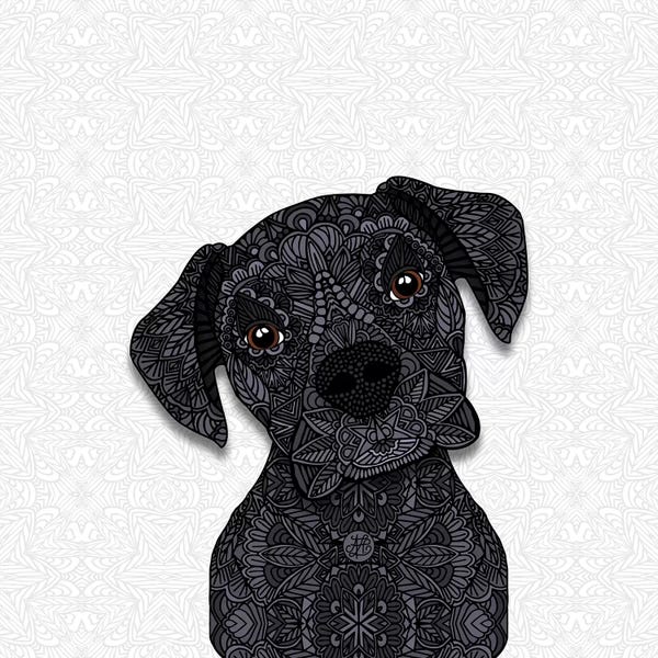 Boxers: Black Boxer by Angelika Parker