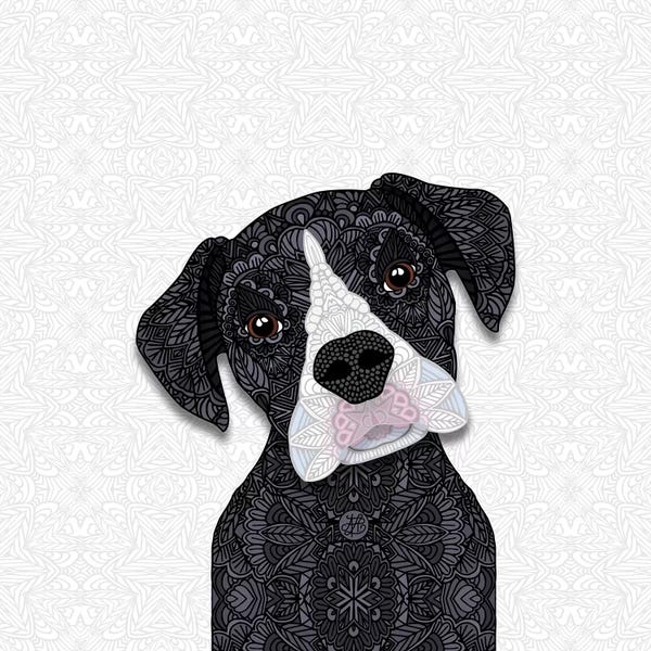 Boxers: Black Boxer, White Snout by Angelika Parker