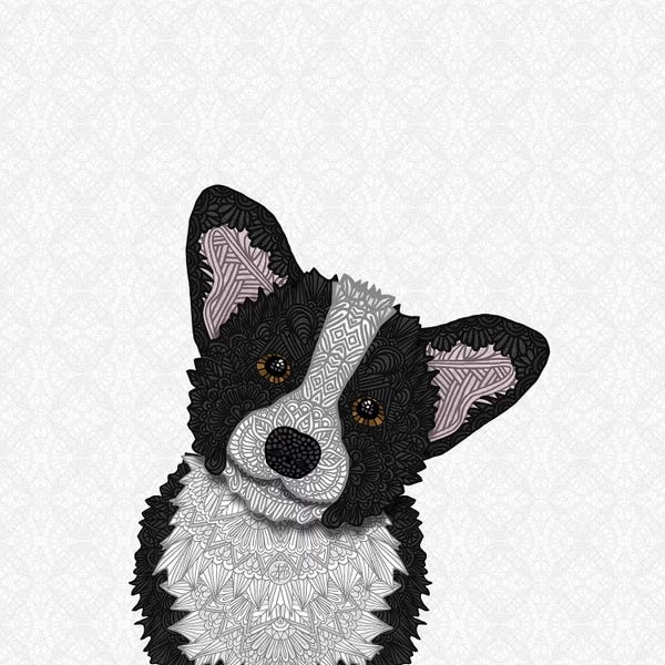 Corgis: Black Corgi by Angelika Parker