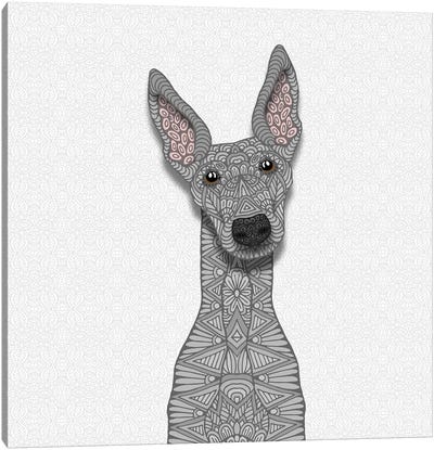 Blue Greyhound Canvas Art Print - Angelika Parker
