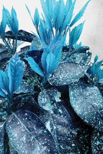 Blue Mood by Angelika Parker canvas print