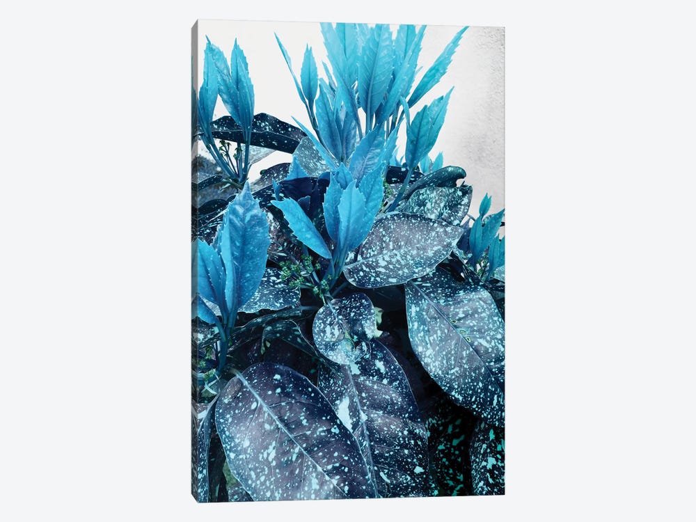 Blue Mood by Angelika Parker 1-piece Canvas Print