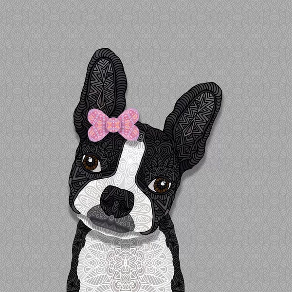Terriers: Boston Girl by Angelika Parker
