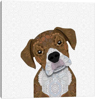 Boxer Dog Canvas Art Print - Angelika Parker