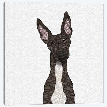 Brindle Greyhound, White Belly Canvas Print #ANG124} by Angelika Parker Canvas Artwork