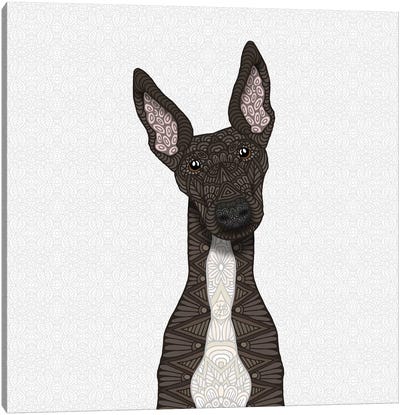Brindle Greyhound, White Belly Canvas Art Print - Greyhound Art