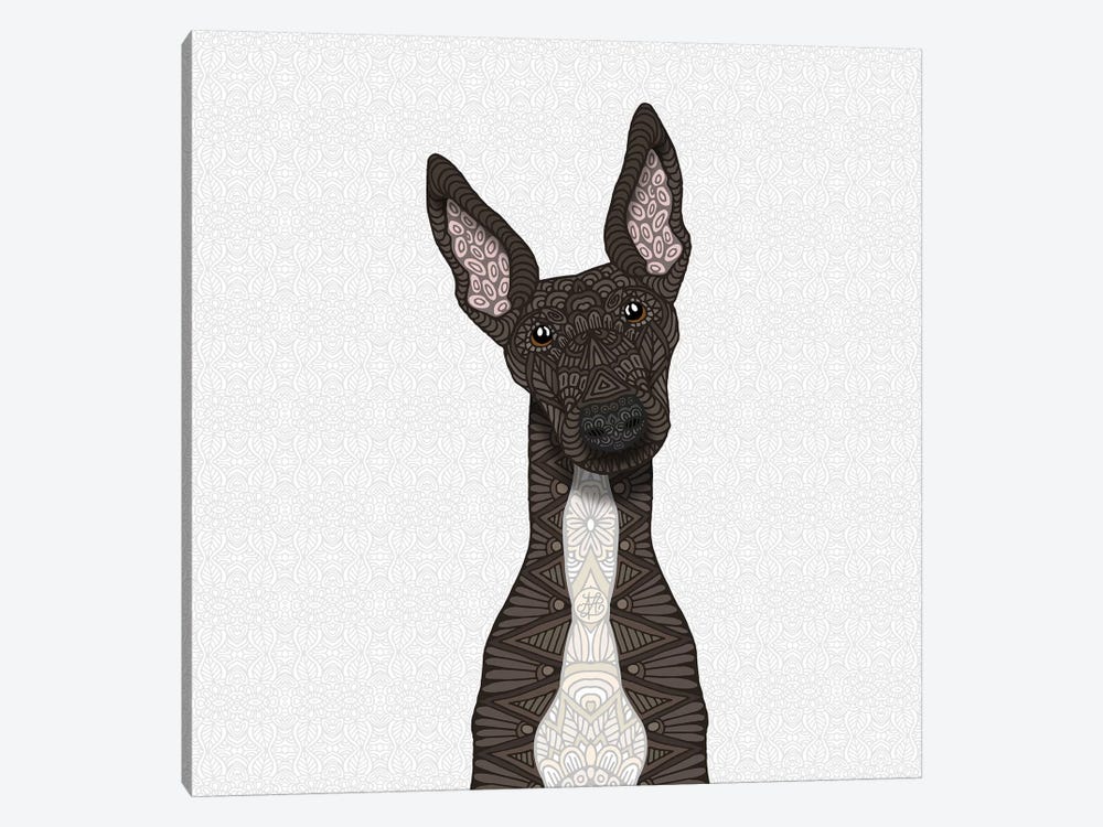 Brindle Greyhound, White Belly 1-piece Canvas Art