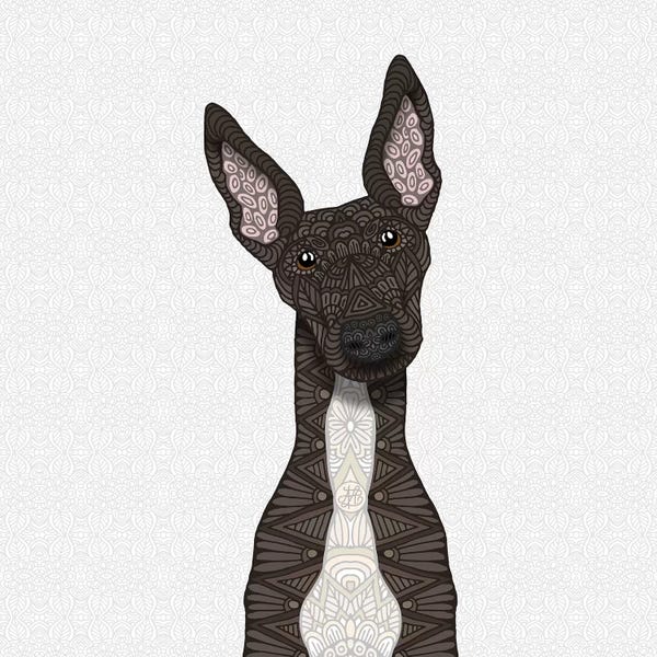 Greyhounds: Brindle Greyhound, White Belly by Angelika Parker