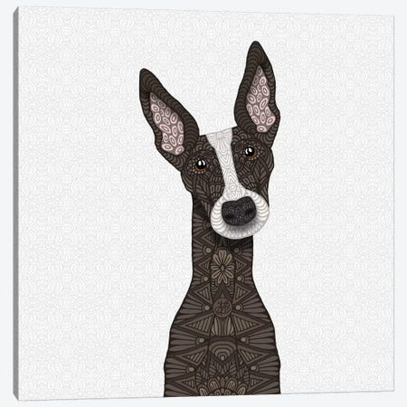 Brindle Greyhound, White Snout Canvas Print #ANG125} by Angelika Parker Canvas Art