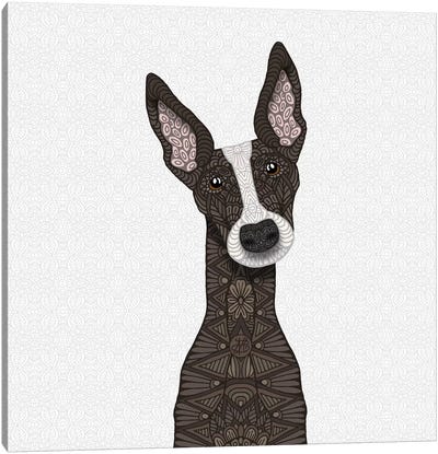 Brindle Greyhound, White Snout Canvas Art Print - Greyhound Art