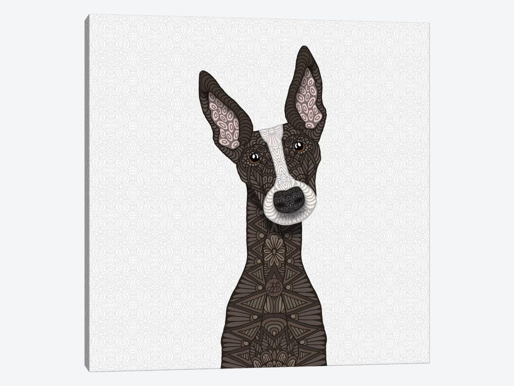 Brindle Greyhound, White Snout by Angelika Parker 1-piece Canvas Art Print