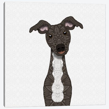 Brindle Iggy, White Belly Canvas Print #ANG126} by Angelika Parker Canvas Artwork