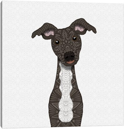 Brindle Iggy, White Belly Canvas Art Print - Italian Greyhounds