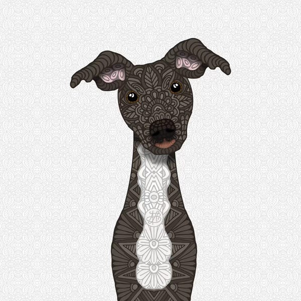 Italian Greyhounds: Brindle Iggy, White Belly by Angelika Parker