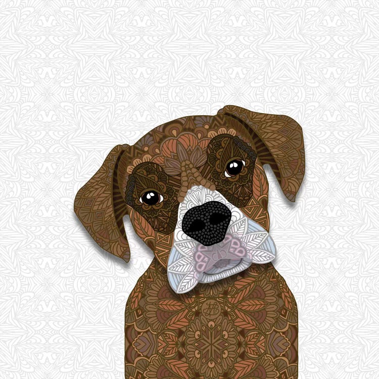 Brown Boxer, White Snout