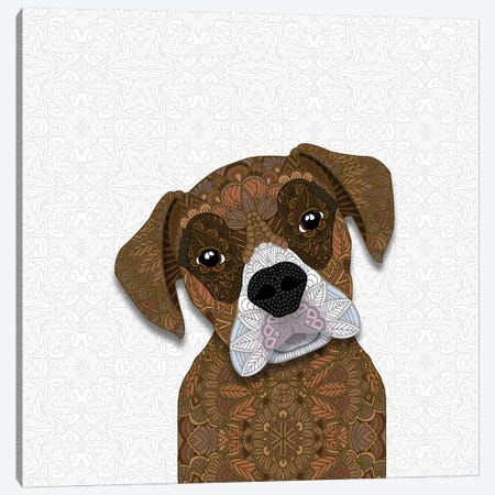 Brown Boxer, White Snout Canvas Print #ANG127} by Angelika Parker Canvas Wall Art