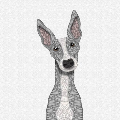 Cute Blue Greyhound by Angelika Parker metal wall art