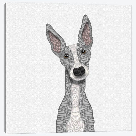 Cute Blue Greyhound Canvas Print #ANG132} by Angelika Parker Canvas Wall Art