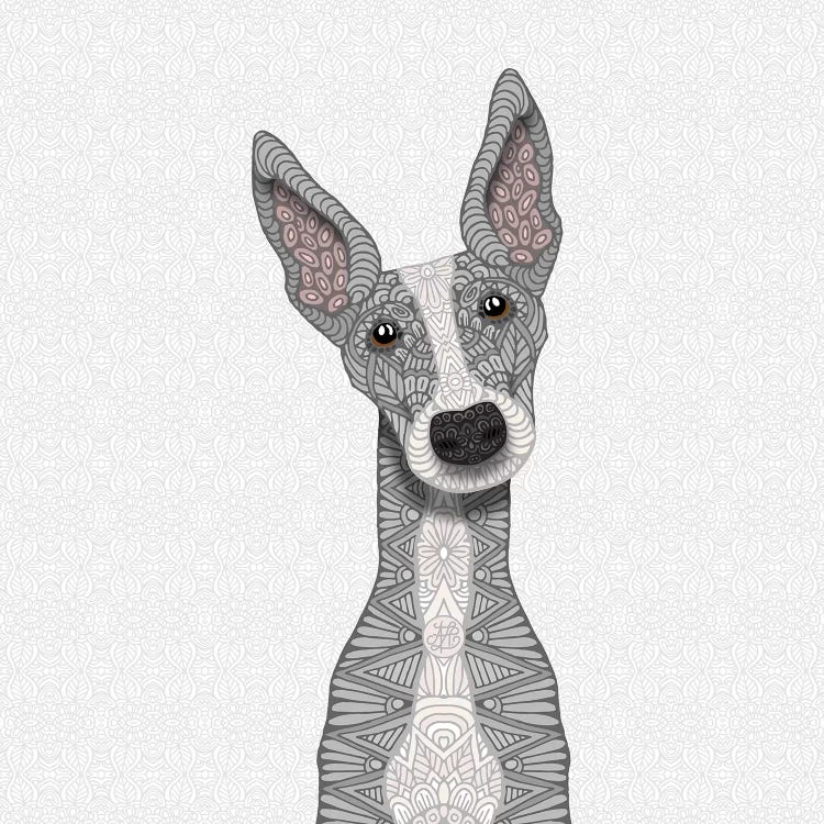 Cute Blue Greyhound by Angelika Parker wall art